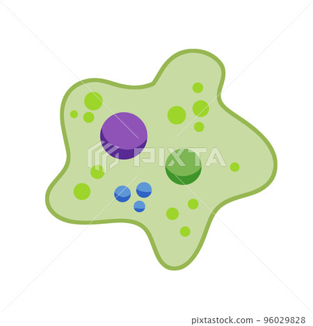 Amoeba cell. Small unicellular animal. Virus and bacteria. 96029828