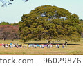 Children gathering in the trees in the field 96029876