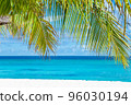 Maldive Islands Sand Beach and green palm foliage view 96030194