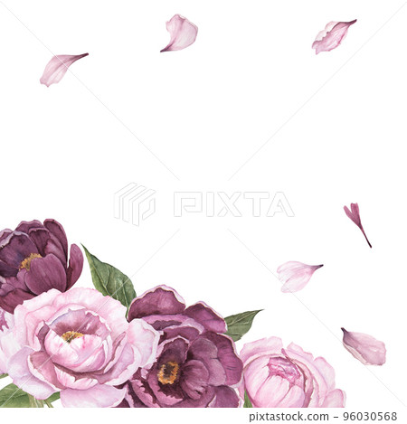 Flower watercolor illustration of peonies and petals isolated, bouquet of flowers, corner frame 96030568