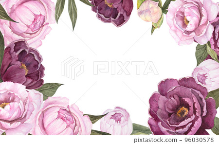 Watercolor illustration of round frame pink and violet peony flower isolated 96030578