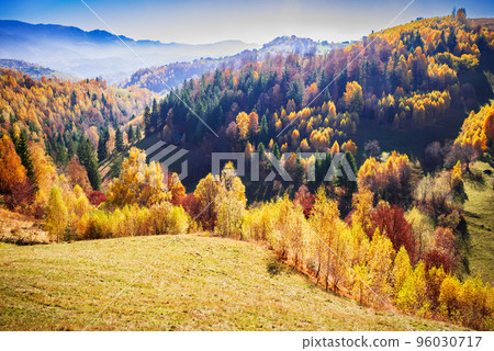 Carpathian Mountains, Romania. Autumn landscape with october colors, Magura. Carpathian Mountains, Romania. Autumn landscape with october colors, Magura. 96030717
