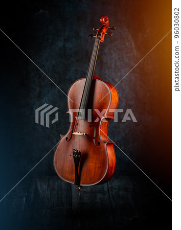 Classic stringed musical instrument 96030802