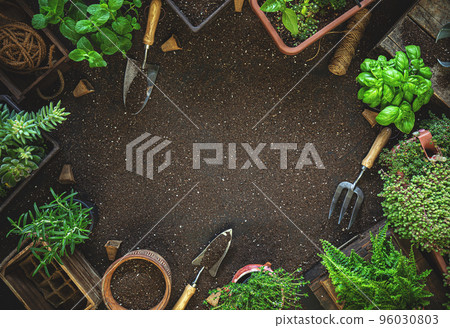 Gardening tools and herbs 96030803