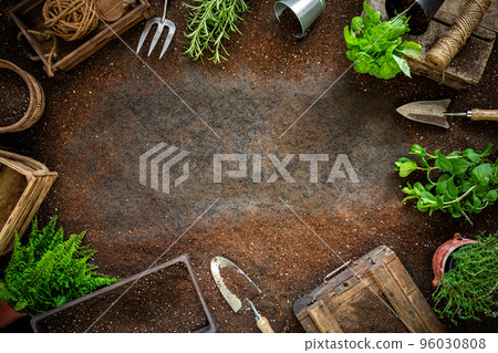 Gardening tools and herbs Gardening tools and herbs 96030808