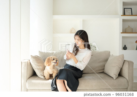 Living with dogs 96031168