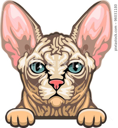 Sphynx Cat Color Vector, Peeking Cats, Cats Breed, Pet Vector portrait, Cats Head 96031180