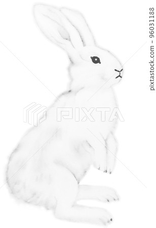 Realistic rabbit watercolor painting, 1 color, light black, other colors, with path, white background Realistic rabbit watercolor painting, 1 color, light black, other colors, with path, white background 96031188