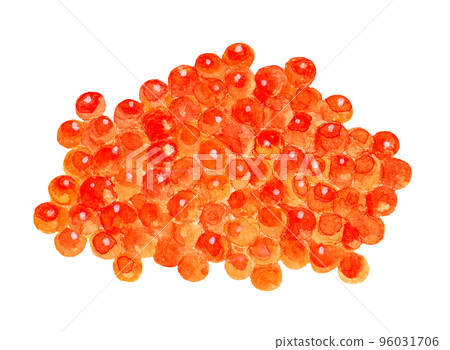 Hand drawn watercolor salmon roe illustration 96031706