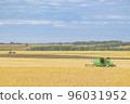 agricultural field with wheat ears during harvesting 96031952