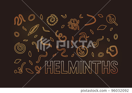 Helminths vector brown horizontal illustration with Helminth line signs Helminths vector brown horizontal illustration with Helminth line signs 96032092