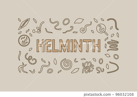 Helminth vector concept creative horizontal banner or illustration Helminth vector concept creative horizontal banner or illustration 96032108
