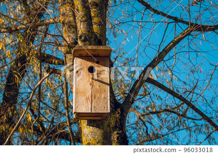 Hand made wooden box for starlings in a tree Hand made wooden box for starlings in a tree 96033018