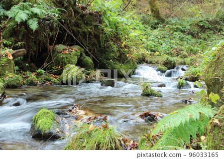 一條清澈的小溪流過大自然 96033165