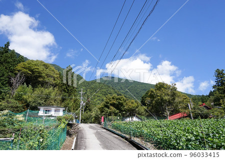 小長谷山上的村莊[山梨縣身延町] 96033415