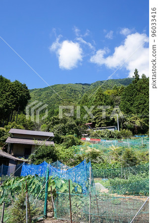 Village on the mountain, Konagaya [Minobu Town, Yamanashi Prefecture] 96033416