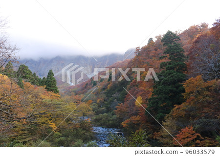 Daisen covered with autumn leaves and clouds 96033579
