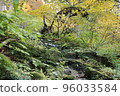 Moss-covered stone stairs in the mountains 96033584