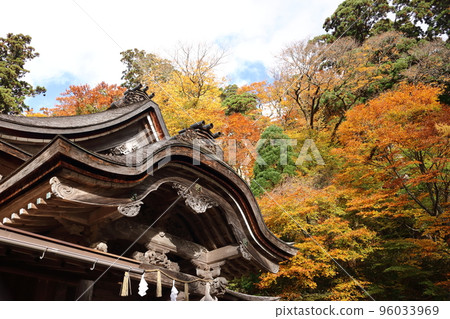 藍天下的神社和秋葉 藍天下的神社和秋葉 96033969