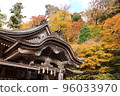 Shinto shrine and autumn leaves under the blue sky 96033970