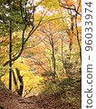 Autumn leaves trees and mountain trails in nature 96033974