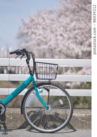 Season of cherry blossoms 96034312