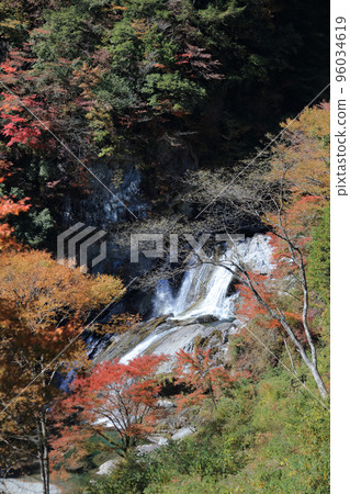 Seto River Valley in Autumn (Amegaeri Falls) 96034619