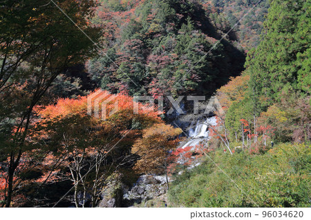 Seto River Valley in Autumn (Amegaeri Falls) 96034620