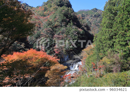 Seto River Valley in Autumn (Amegaeri Falls) 96034621