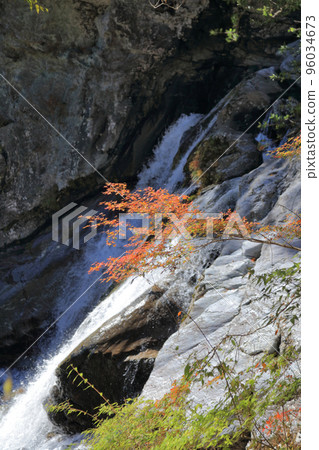 Setogawa Valley in Autumn (Amegaeri Falls and Maples) 96034673