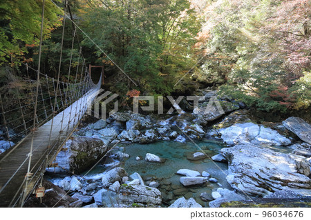 Setogawa Valley in Autumn (Burabura Bridge) 96034676