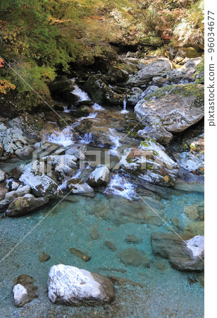 Setogawa Valley in autumn (near Burabura Bridge) 96034677