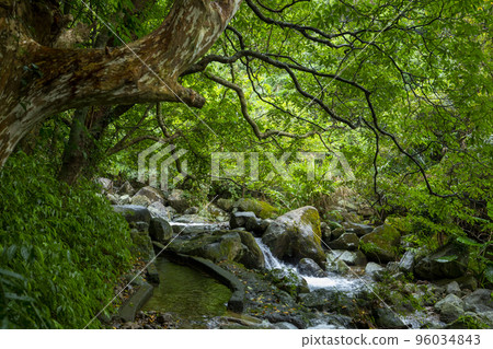 小溪流，山谷，溪流，河流，小川、谷、小川、川、small streams, valleys, 96034843