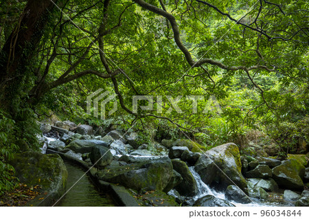 小溪流，山谷，溪流，河流，小川、谷、小川、川、small streams, valleys, 96034844