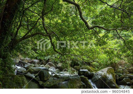 小溪流，山谷，溪流，河流，小川、谷、小川、川、small streams, valleys, 96034845