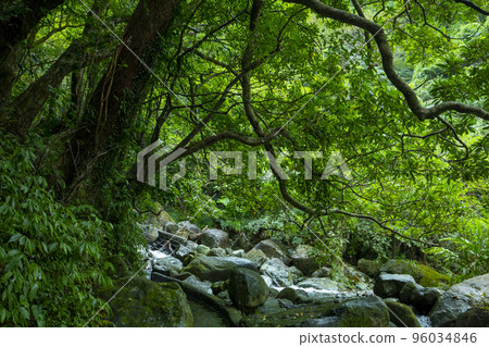 小溪流，山谷，溪流，河流，小川、谷、小川、川、small streams, valleys, 96034846