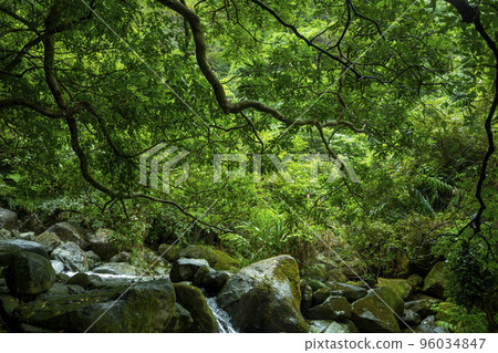 小溪流，山谷，溪流，河流，小川、谷、小川、川、small streams, valleys, 96034847