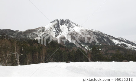 山 山 96035318