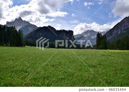 Grassy expanse of the valley Grassy expanse of the valley 96035494