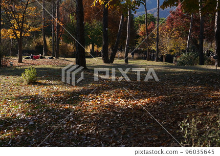 Autumn Park Autumn Park 96035645