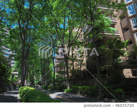 Luxury apartment in Hiroo 96035720