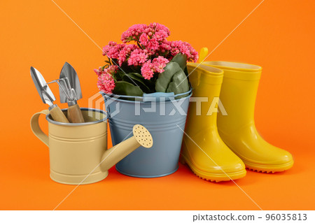 Gardening tools and accessories on orange background Gardening tools and accessories on orange background 96035813