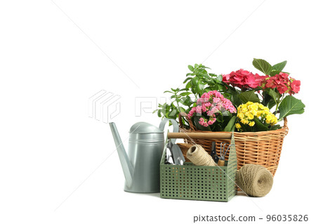 Gardening tools and accessories isolated on white background 96035826