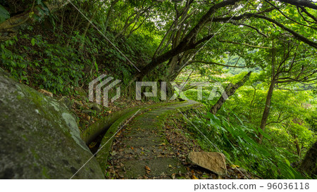 森林步道，石板路，步道，林道、石畳道、遊歩道、Forest trails, flagstone 96036118