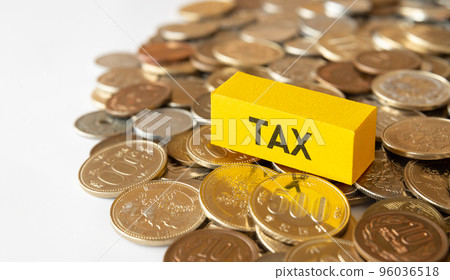 TAX 字母和硬幣 稅終納稅申報 年終稅調整系統會計 96036518