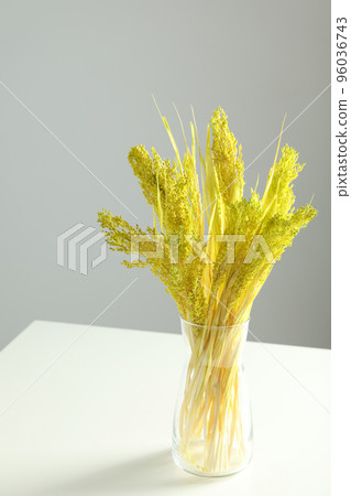 Dried flowers on white table against gray background Dried flowers on white table against gray background 96036743