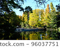 Autumn Inokashira Park where the trees that have started to change color are reflected on the surface of the lake 96037751