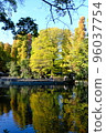 Autumn Inokashira Park where the trees that have started to change color are reflected on the surface of the lake 96037754