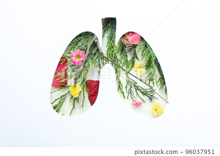 World lung day or lung healthy concept on white background World lung day or lung healthy concept on white background 96037951
