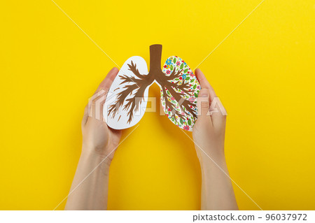 World lung day or lung healthy concept on yellow background 96037972